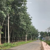 Bán mặt tiền nhựa liên ấp, gần ngã tư Gia Vĩnh, An Viễn, Đồng Nai